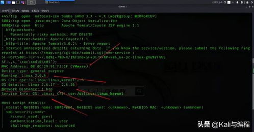 白帽黑客的偵察利器 Nmap實(shí)戰(zhàn)演示探測(cè)操作系統(tǒng)與系統(tǒng)服務(wù)